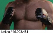 MMA fighter on a green screen. Стоковое фото, фотограф David Kashakhi / Фотобанк Лори