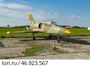 Aero L-39 Albatros чехословацкий учебно-боевой самолёт . АвиаПарк Орешково, Воротынск (2024 год). Редакционное фото, фотограф Василий Мальцев / Фотобанк Лори