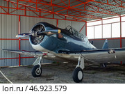 North American Aviation T-6 Texan, американский лёгкий учебный самолёт.  АвиаПарк Орешково, Воротынск (2024 год). Редакционное фото, фотограф Василий Мальцев / Фотобанк Лори
