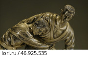 The trophy represents two people in sparring. Стоковое фото, фотограф David Kashakhi / Фотобанк Лори