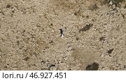 Top view of a man running in the desert. Стоковое фото, фотограф David Kashakhi / Фотобанк Лори