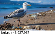 Sea gull on the coast polluted by plastic debris. Стоковое AI-видео, аниматор Ирина Старикова / Фотобанк Лори