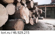 Wooden logs located side by side in an approximate view. Стоковое фото, фотограф David Kashakhi / Фотобанк Лори