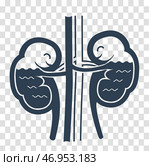 kidneys water silhouette. Стоковая иллюстрация, иллюстратор Седых Алена / Фотобанк Лори