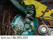 Злая ведьма варит зелье за столом. Стоковое фото, фотограф Pixel_shot / Фотобанк Лори