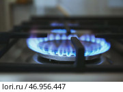 Газовая горелка с голубым пламенем на бытовой плите, крупным планом. Стоковое фото, фотограф Pixel_shot / Фотобанк Лори