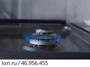 Газовая горелка с голубым пламенем на бытовой плите, крупным планом. Стоковое фото, фотограф Pixel_shot / Фотобанк Лори