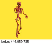 Окровавленный человеческий скелет на цветном фоне. Стоковое фото, фотограф Pixel_shot / Фотобанк Лори