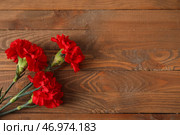Свежие цветы гвоздики на деревянном фоне. Стоковое фото, фотограф Pixel_shot / Фотобанк Лори