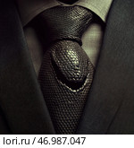 A strict men's suit with an original tie made in the form of a snake. The tie has a scaly texture reminiscent of snake skin, and its knot is designed in such a way that it creates the illusion of snake eyes and a head. This element of clothing adds mystery, danger and elitism to the image. The entire composition is sustained in dark, elegant tones, emphasizing strength, power and style. Стоковое AI-изображение, AI-художник Анна Кривицкая / Фотобанк Лори