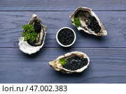 Вкусные устрицы с черной икрой на синем деревянном фоне. Стоковое фото, фотограф Pixel_shot / Фотобанк Лори