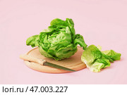 Деревянная доска с свежим бостонским салатом на розовом фоне. Стоковое фото, фотограф Pixel_shot / Фотобанк Лори
