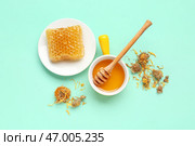 Чаша с вкусным медом, медовым сотом, медовой палочкой и сушеными цветами одуванчика на бирюзовом фоне. Стоковое фото, фотограф Pixel_shot / Фотобанк Лори