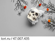 Человеческий череп с календулой, ветками деревьев и пауками на сером фоне. Стоковое фото, фотограф Pixel_shot / Фотобанк Лори