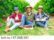 Cheerful farmers sitting in garden with crates of sweet cherries. Стоковое фото, фотограф Яков Филимонов / Фотобанк Лори
