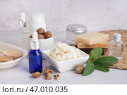Миска с ши, орехами и косметическими продуктами на светлом столе. Стоковое фото, фотограф Pixel_shot / Фотобанк Лори
