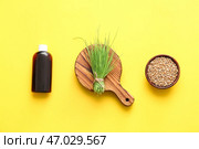 Свежий пырей, бутылка и семена в миске на цветном фоне. Стоковое фото, фотограф Pixel_shot / Фотобанк Лори