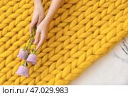 Женские руки с цветами и вязанным пледом на белом фоне. Стоковое фото, фотограф Pixel_shot / Фотобанк Лори
