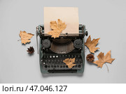 Винтажная пишущая машинка, осенние листья и шишки на белом фоне. Стоковое фото, фотограф Pixel_shot / Фотобанк Лори