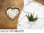 Сердце из растительных таблеток, докторского халата и зелени на деревянном фоне. Стоковое фото, фотограф Pixel_shot / Фотобанк Лори