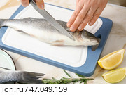 Женщина готовит вкусную свежую рыбу. Стоковое фото, фотограф Pixel_shot / Фотобанк Лори