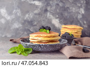Тарелка с вкусными блинами и ежевикой на столе. Стоковое фото, фотограф Pixel_shot / Фотобанк Лори
