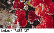 Fresh Raspberries Splashing Beautifully in Water Set Against a Striking Black Background. Стоковое видео, видеограф Владимир Ковальчук / Фотобанк Лори