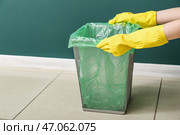 Женские руки в резиновых перчатках кладут мусорный мешок в мусорное ведро возле зеленой стены. Стоковое фото, фотограф Pixel_shot / Фотобанк Лори