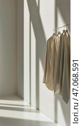 Neutrals on Display With Cozy Sweaters Hanging in a Minimalist Setting. Стоковое AI-изображение, AI-художник Юлия Гапеенко / Фотобанк Лори