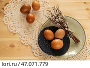 Коричневые куриные пасхальные яйца, веточки вербы на кружевной салфетке. Стоковое фото, фотограф Оксана Шведкова / Фотобанк Лори