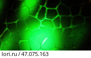 Microscopic formation in a plant cell, research and genetic engineering. Стоковая иллюстрация, иллюстратор David Kashakhi / Фотобанк Лори