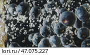 Fresh Blueberries Splashing in Water, Creating Vibrant, Wholesome, and Healthy Delights. Стоковое видео, видеограф Владимир Ковальчук / Фотобанк Лори