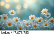 Vibrant daisies blooming in a serene garden during springtime. Яркие белые маргаритки с желтыми центрами наполняют сад, мягко покачиваясь на весеннем ветерке. Мягкий рассеянный свет создает спокойную атмосферу, подчеркивая их красоту. Стоковое AI-изображение, AI-художник Katsiaryna Repich / Фотобанк Лори