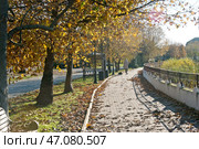 Краснодарский край, Туапсинский район, поселок городского типа,   Новоихайловский, река Нечепсухо, осень,    велосипедист. Стоковое фото, фотограф Александр Циликин / Фотобанк Лори