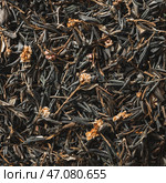 Dried Black Tea Leaves for Herbal Infusions and Unique Blends, Perfect for Any Occasion. Стоковое фото, фотограф David Kashakhi / Фотобанк Лори