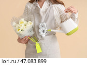 Молодая женщина-садовник с букетом белых тюльпанов, лейкой и воздушным шаром в форме цифры 8 на бежевом фоне. Празднование Международного женского дня. Стоковое фото, фотограф Pixel_shot / Фотобанк Лори