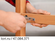 Мужчина-плотник затягивает винт в деревянном столе отверткой, крупный план. Стоковое фото, фотограф Pixel_shot / Фотобанк Лори
