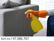 Молодая женщина с распылителем удаляет плесень с дивана дома, крупный план. Стоковое фото, фотограф Pixel_shot / Фотобанк Лори