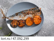 Тарелка с подготовленной скумбрии рыбы и моркови на сером фоне. Стоковое фото, фотограф Pixel_shot / Фотобанк Лори