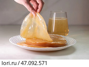 A guide to preparing fermented Kombucha and cultivating your own SCOBY for brewing. Стоковое фото, фотограф Ольга Коваленко / Фотобанк Лори