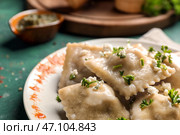 Вкусные равиоли на тарелке, крупным планом. Стоковое фото, фотограф Pixel_shot / Фотобанк Лори
