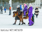 Ребёнка катают на пони. Празднование Масленицы на территории площади имени Максима Горького. Город Бердск, Новосибирская область, Западная Сибирь, Россия. Редакционное фото, фотограф Евгений Мухортов / Фотобанк Лори