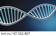 Abstract plexus DNA oragnic background. Стоковое AI-видео, аниматор Ирина Старикова / Фотобанк Лори