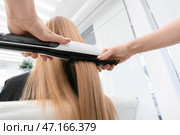 Женщина-парикмахер выпрямляет волосы клиента в салоне красоты, крупным планом. Стоковое фото, фотограф Pixel_shot / Фотобанк Лори