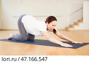 Pregnant woman is engaged in yoga. Baby asana or Balasana. Стоковое фото, фотограф Татьяна Яцевич / Фотобанк Лори