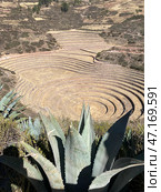 Перу, Морай, Moray, Peru, террасы (2024 год). Стоковое фото, фотограф Natalya Belousova / Фотобанк Лори