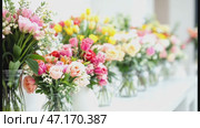 modern flower shop showcasing fresh tulips, roses and pions in identical vases, modern design enhancing floral beauty, modern approach admired globally, modern innovation inspiring creativity. Стоковое AI-видео, аниматор Анна Маркина / Фотобанк Лори