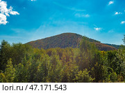 Золотая осень в Национальном Парке Самарская Лука недалеко от деревни Ширяево! (2023 год). Редакционное фото, фотограф Viktor Volkodaev / Фотобанк Лори