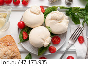 Тарелка вкусного сыра буррата с базиликом и помидорами на белом фоне. Стоковое фото, фотограф Pixel_shot / Фотобанк Лори