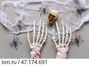 Костяные руки, паутина, череп и пауки для Хэллоуинского празднования на сером фоне. Стоковое фото, фотограф Pixel_shot / Фотобанк Лори